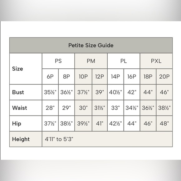 DRAPERS AND DAMONS TUNIC SHEER ANIMAL PRINT BLOUSE - Picture 6 of 6